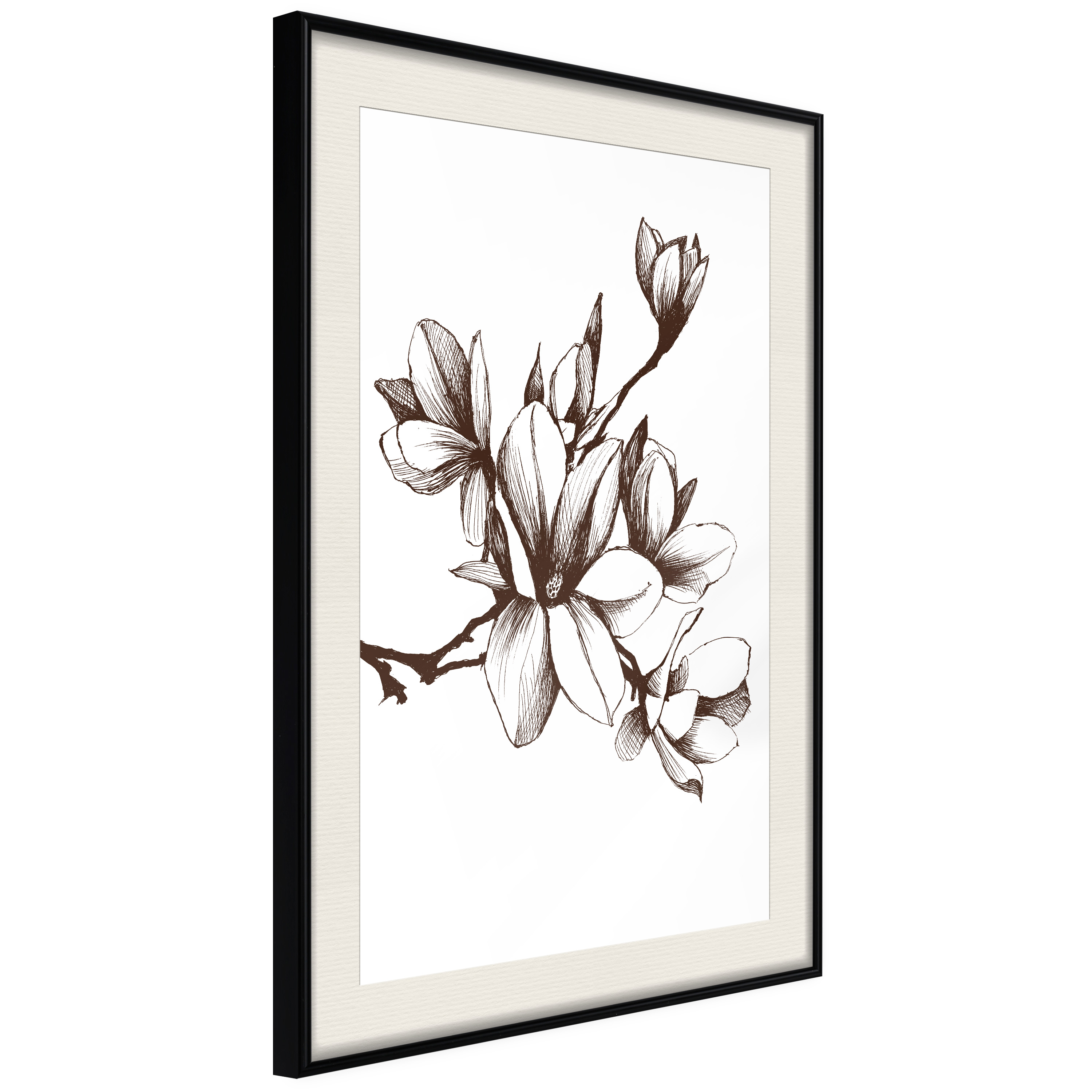 Affisch - Renaissance Magnolias [Poster] 40x60 Svart ram med passepartout, 40x60 cm