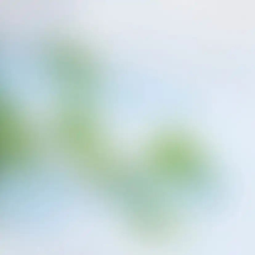 Tillval Elitfönster Frostat Glas