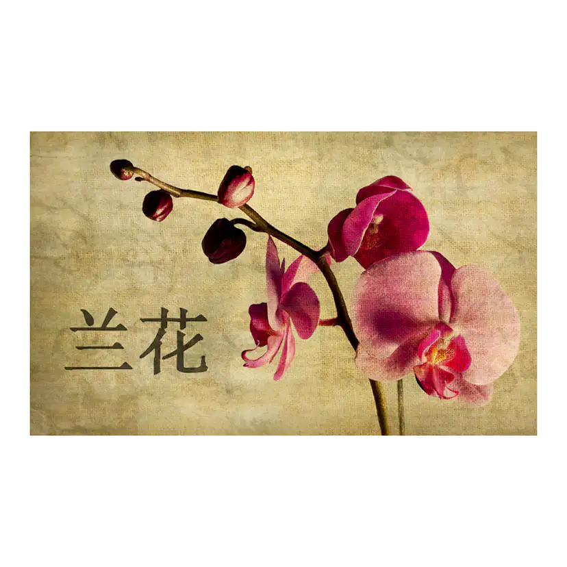 Fototapet Arkiio Japanese orchid 450x270 cm