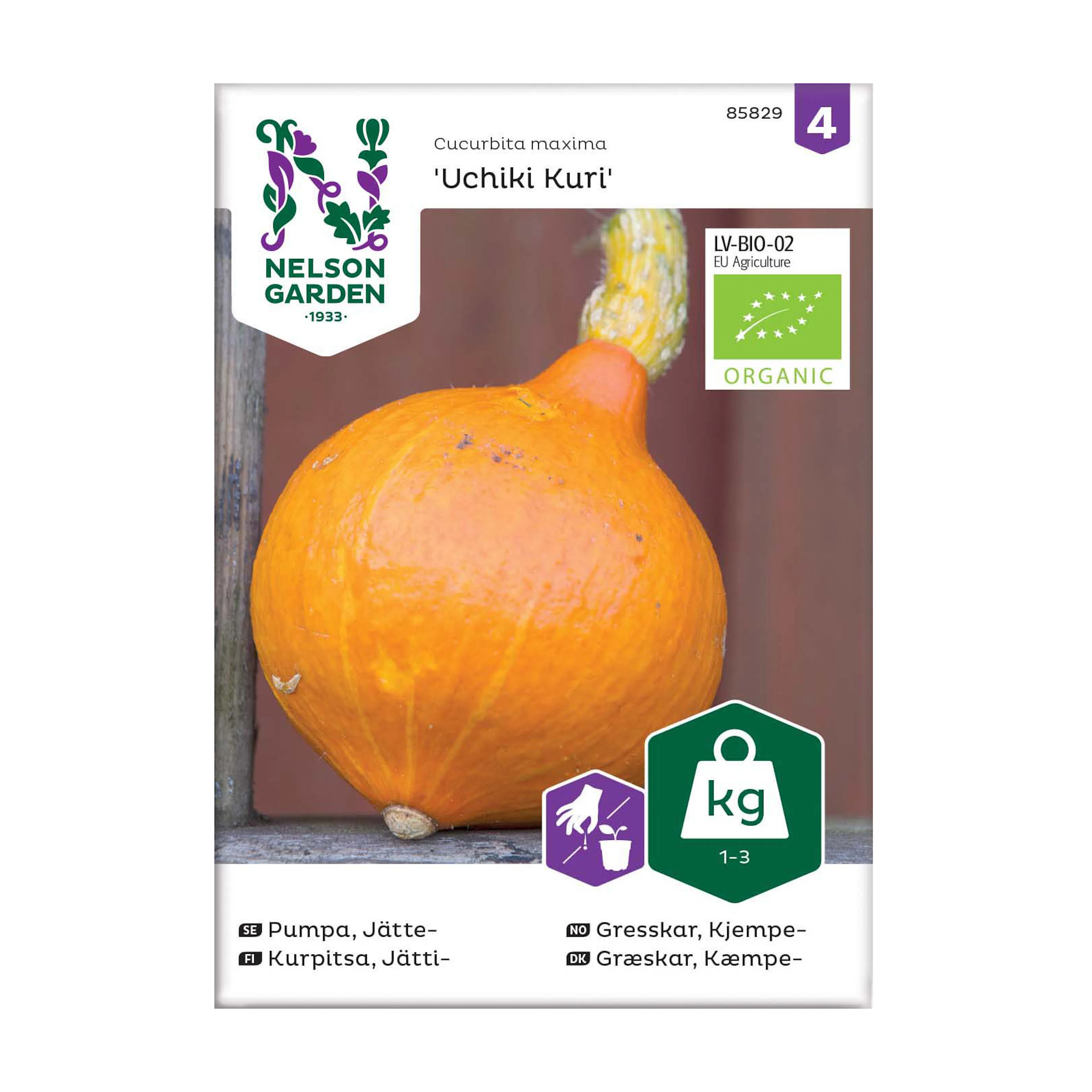 Frö Jättepumpa Nelson Garden Uchiki Kuri Organic