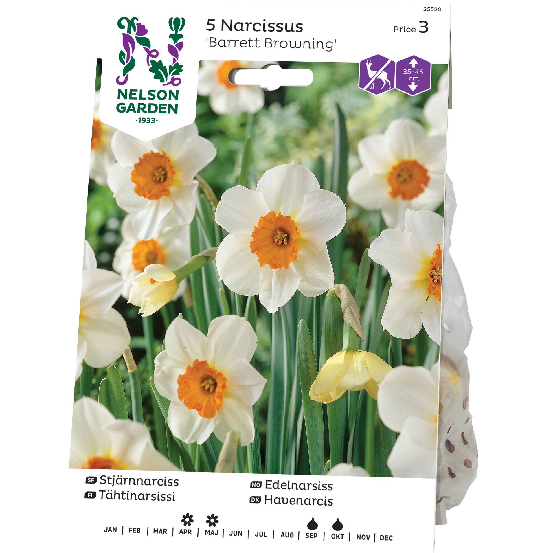 Stjärnnarciss Nelson Garden Barret Browning