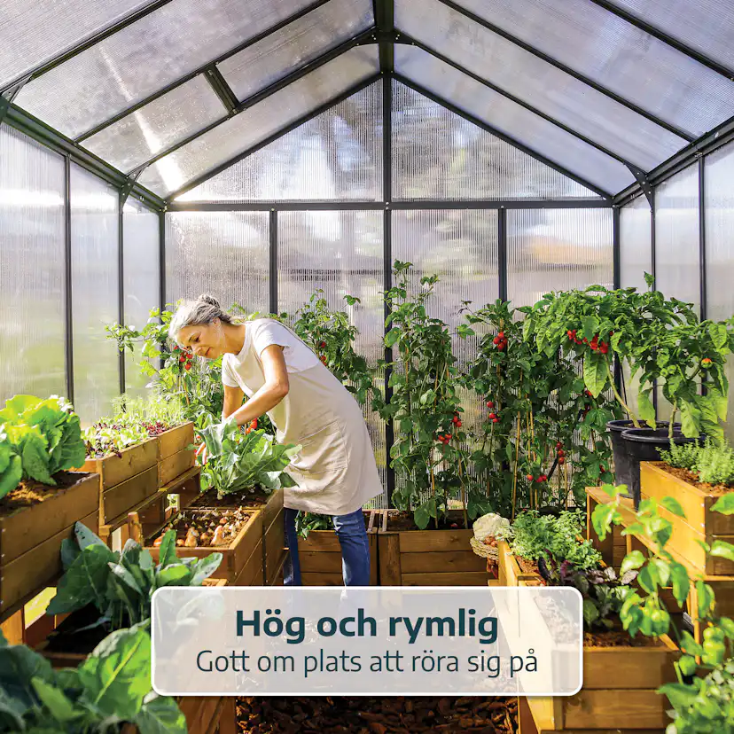 Växthus Canopia by Palram Glory 15,3 m² Mörkgrå