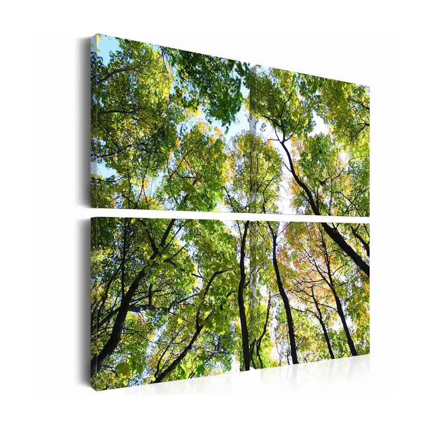 Tavla Arkiio Treetops