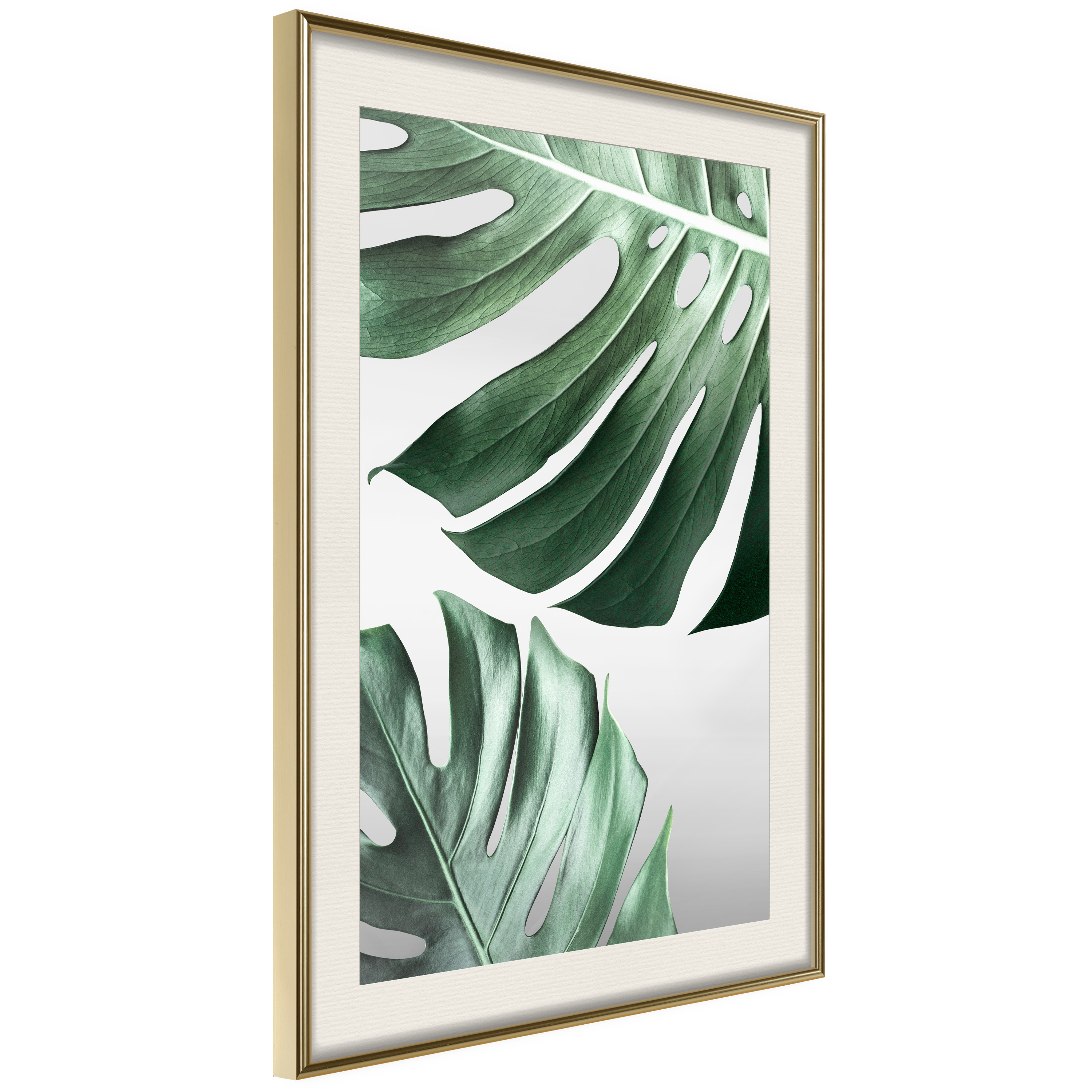 Affisch - Monstera Leaves [Poster] 30x45 Guld ram med passepartout, 30x45 cm