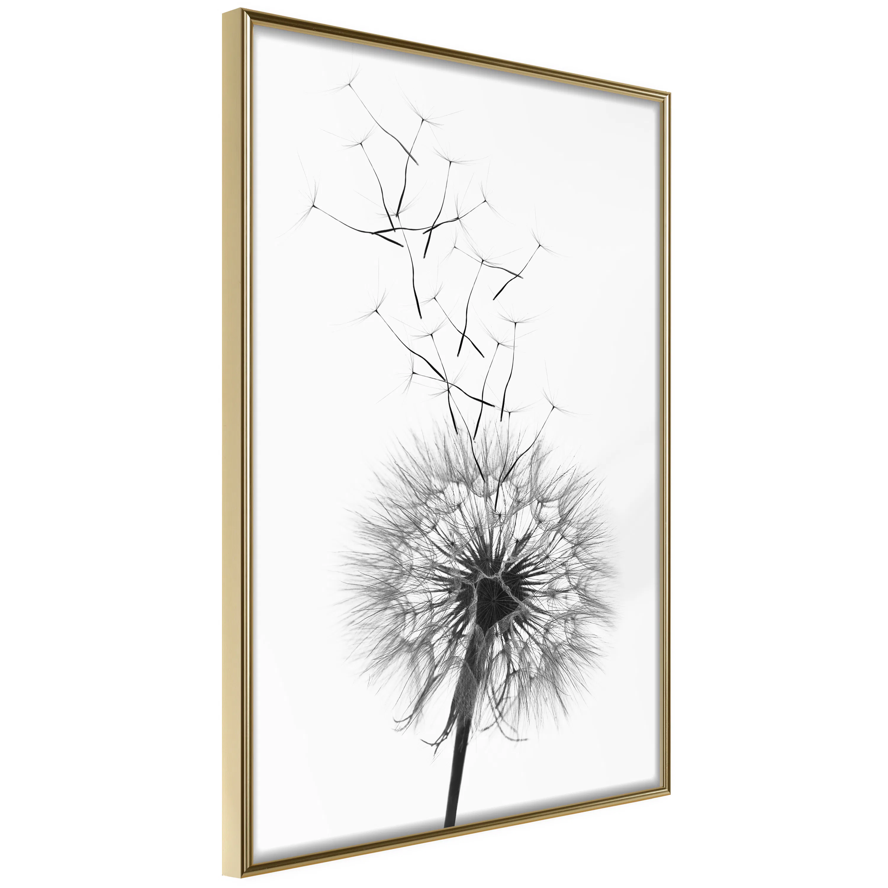 Poster Artgeist Affisch Dandelion
