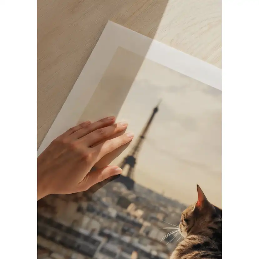 Poster Gallerix Cat In Paris