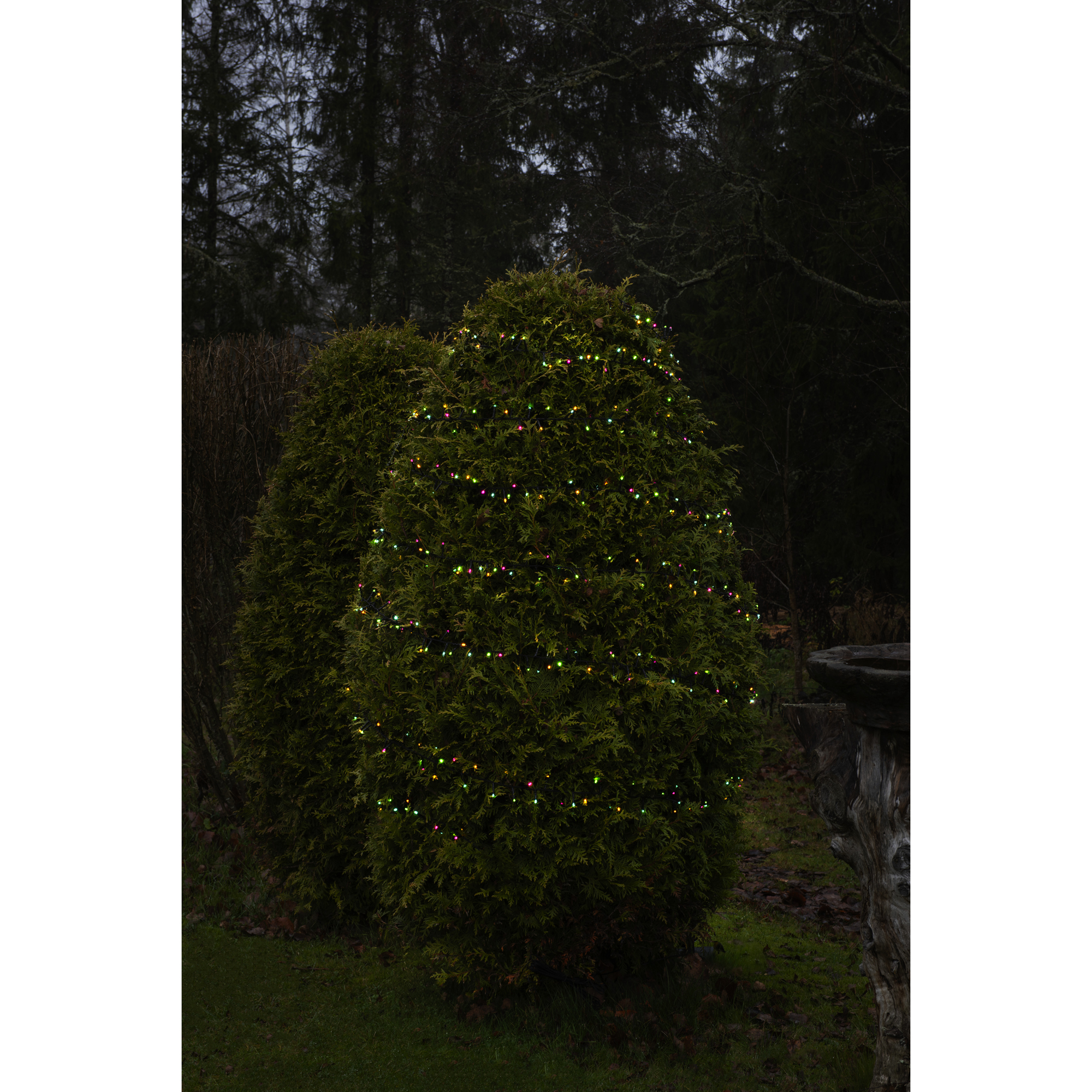 Ljusslinga Gnojö Konstsmide Candy Cluster 600st LED-lampor 30V/IP44