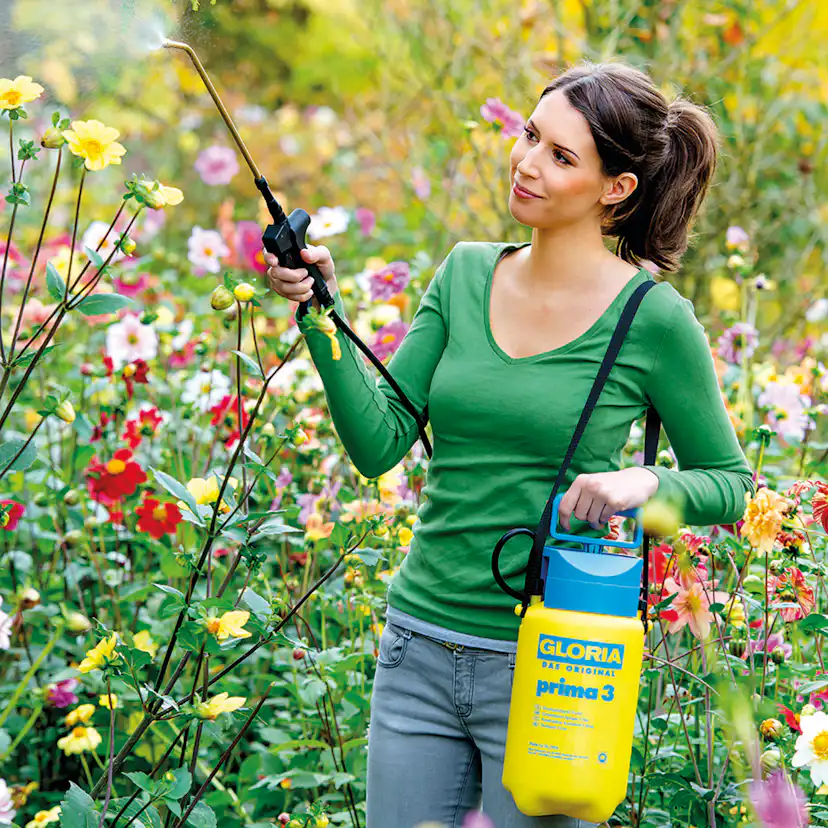 Tryckspruta Gloria Prima 3