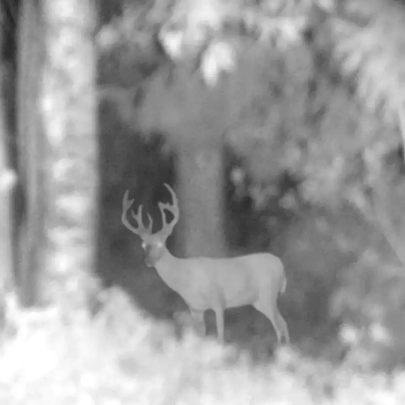 Nattkikare Trekker Premium