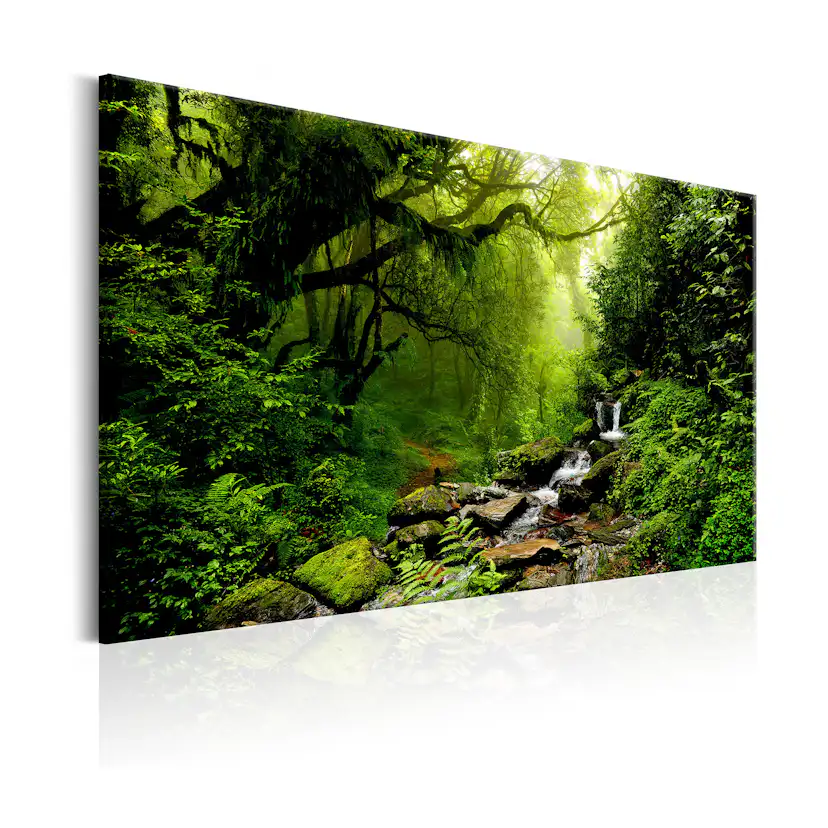 Tavla Arkiio Waterfall In The Forest