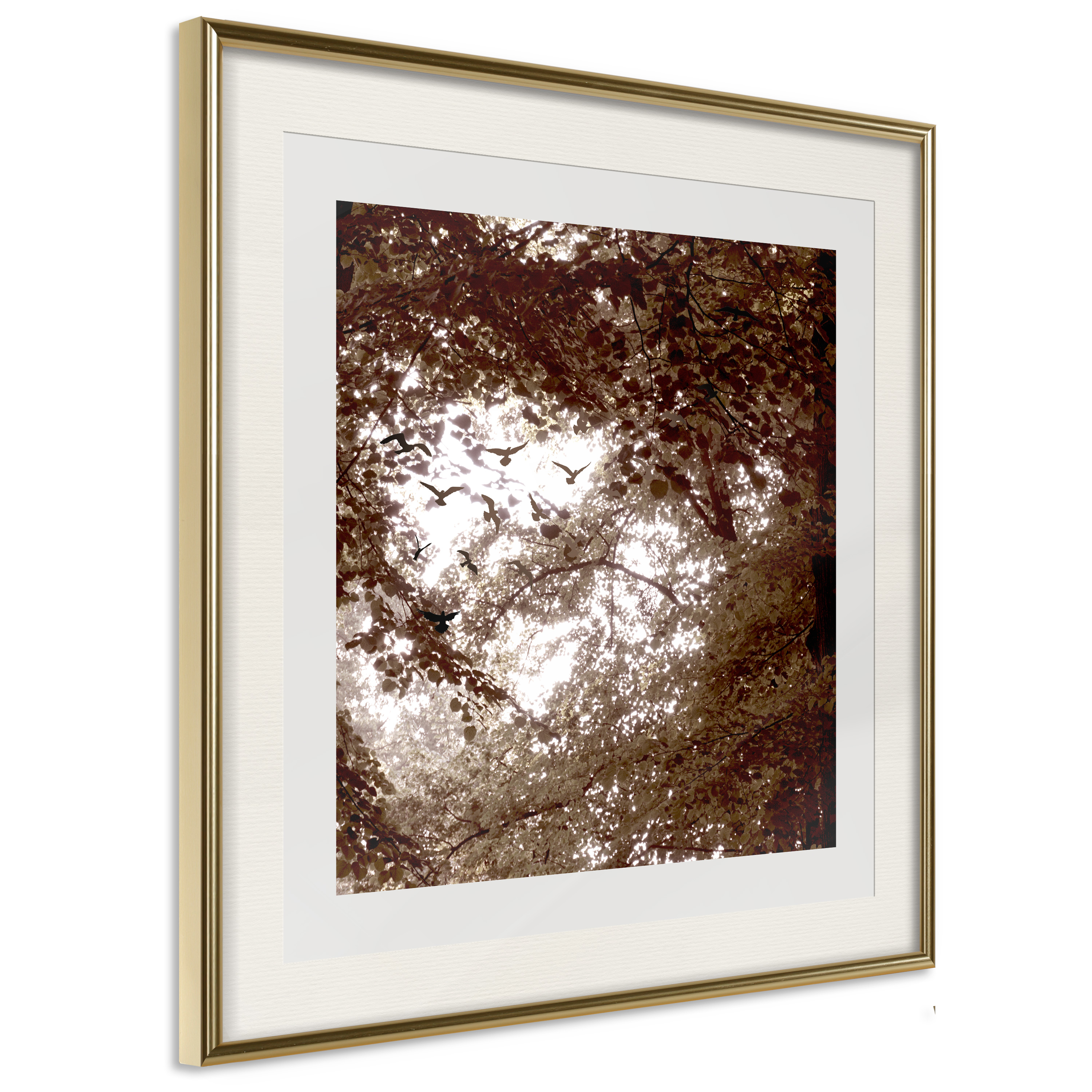 Affisch - Freedom [Poster] 30x30 Guld ram med passepartout, 30x30 cm