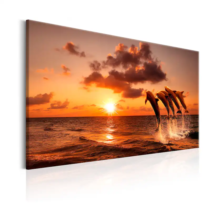 Tavla Arkiio The Dolphin's Dance