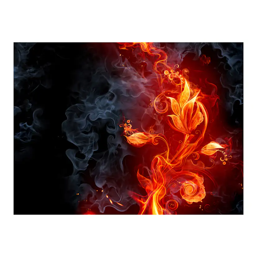 Fototapet Arkiio Fiery Blomma