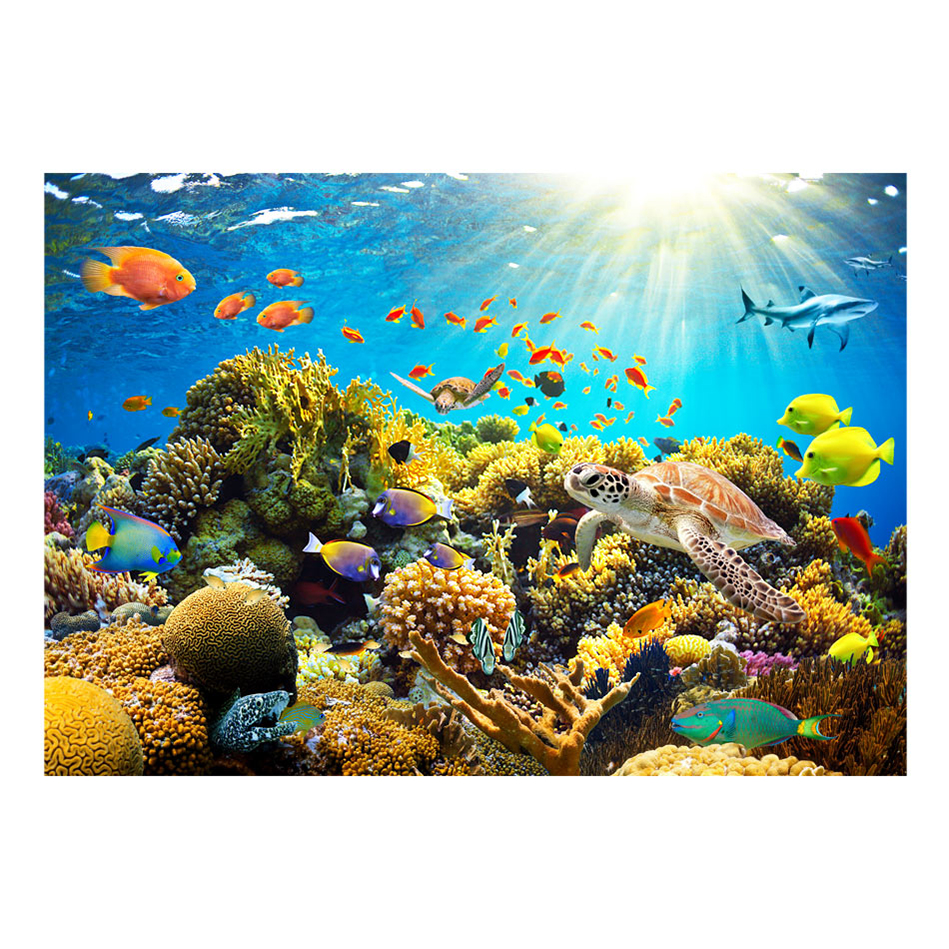 Fototapet Arkiio Underwater Land