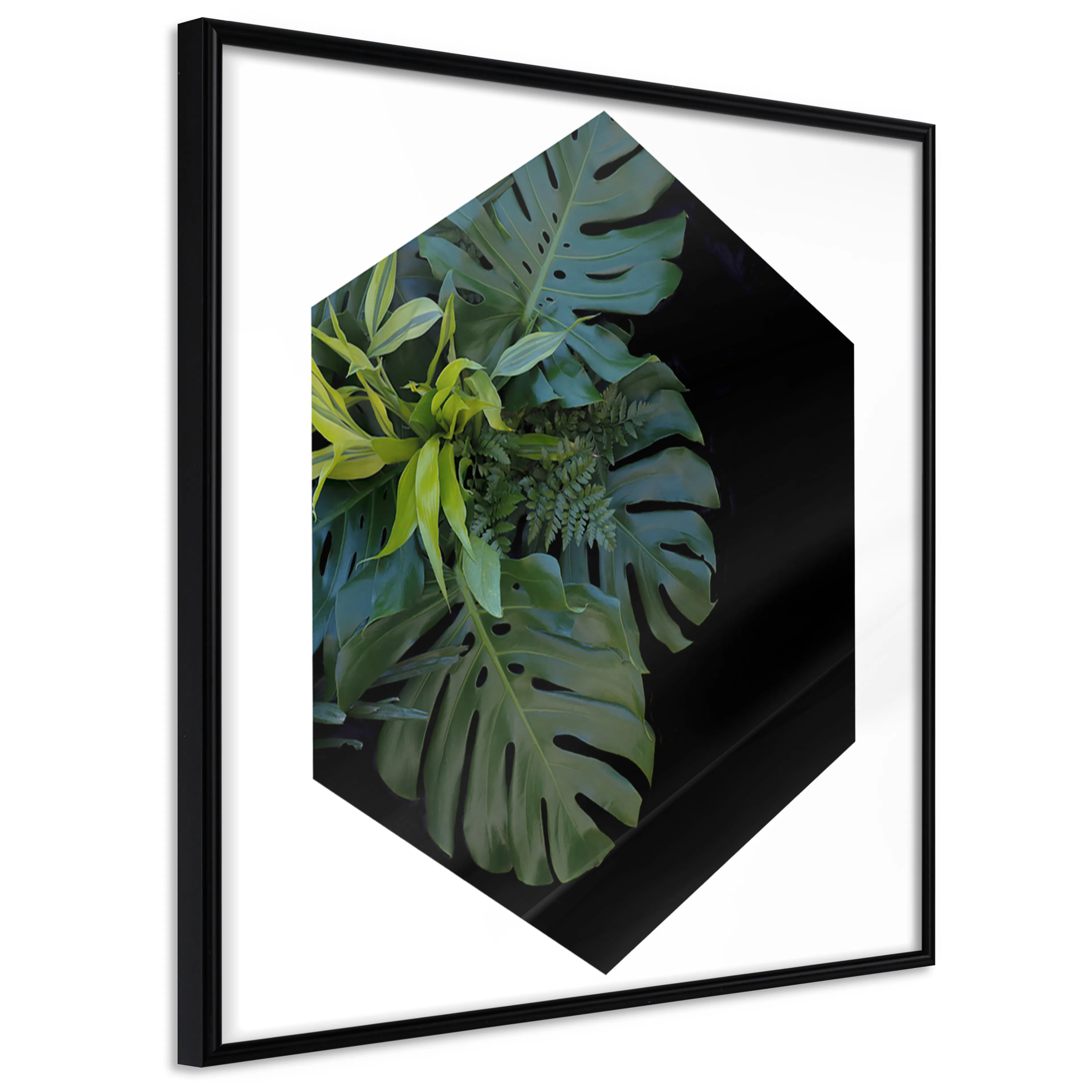 Affisch - Plant Hexagon (Square) [Poster] 20x20 Svart ram, 20x20 cm