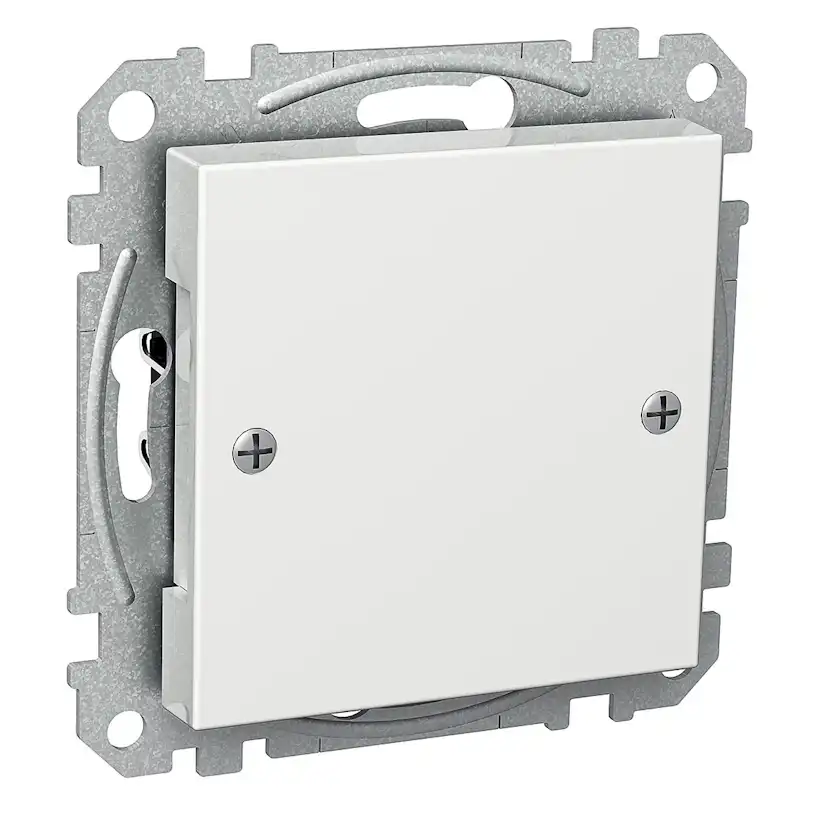 Centrumplatta Schneider Electric Exxact