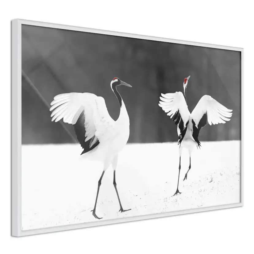 Poster Artgeist Affisch Dancing Cranes