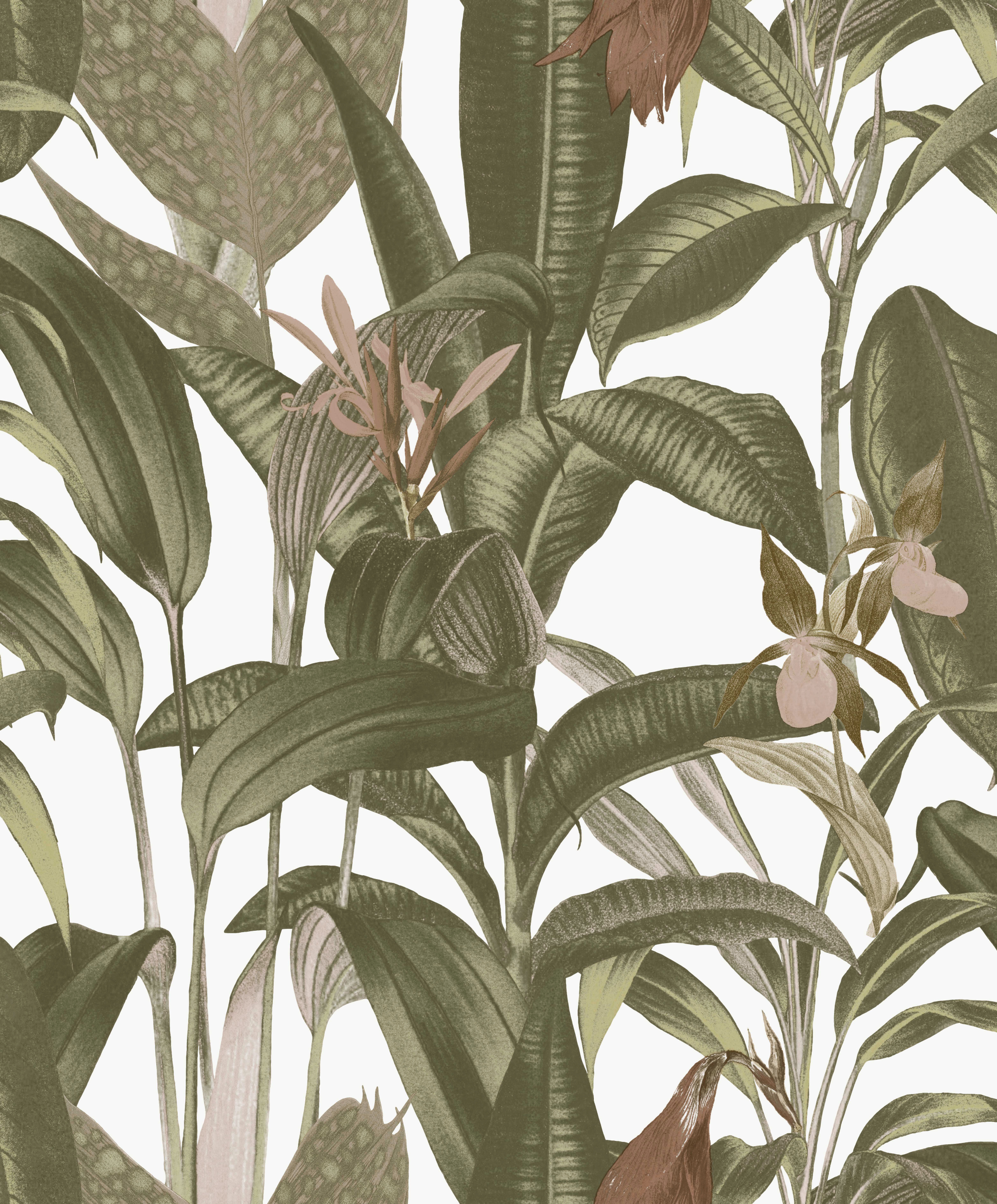 Tapet LOOKS by Wolfgang Joop Looks Tropical Leaves 121024