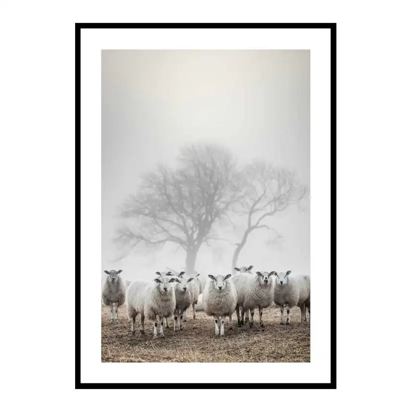 Poster Gallerix Sheep In Fog