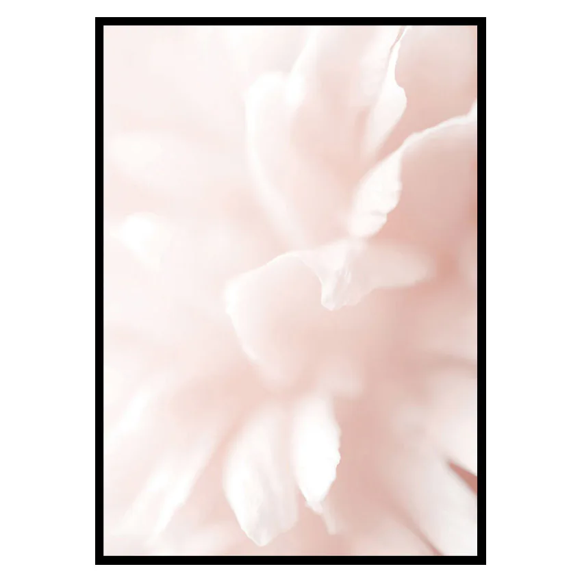 Poster Gallerix Tender Flowers No3