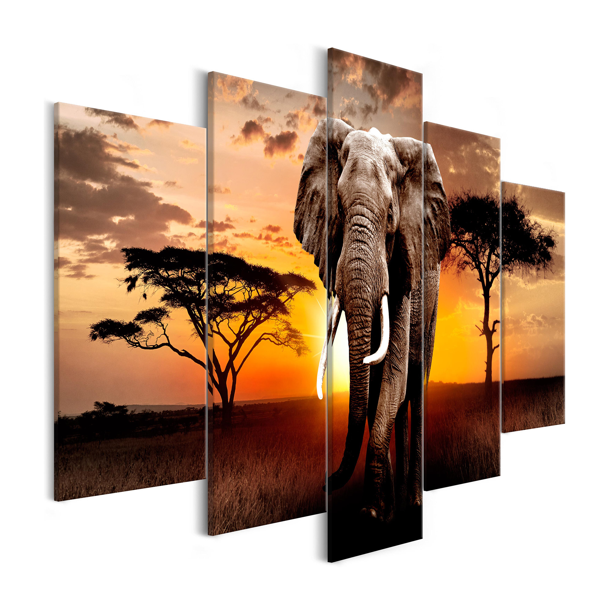 Tavla Arkiio WanderIng Elephant Wide 5 delar 225x100