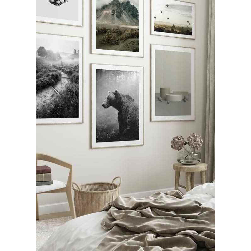 Grizzly Bear 50x70 cm