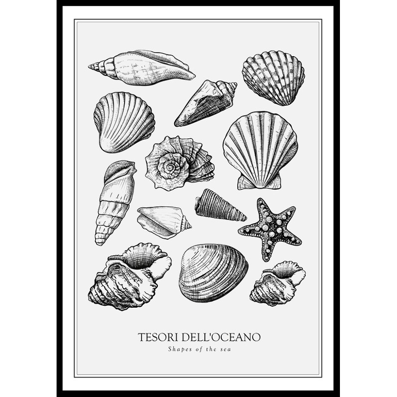 Poster Gallerix Tesori Dell'Oceano