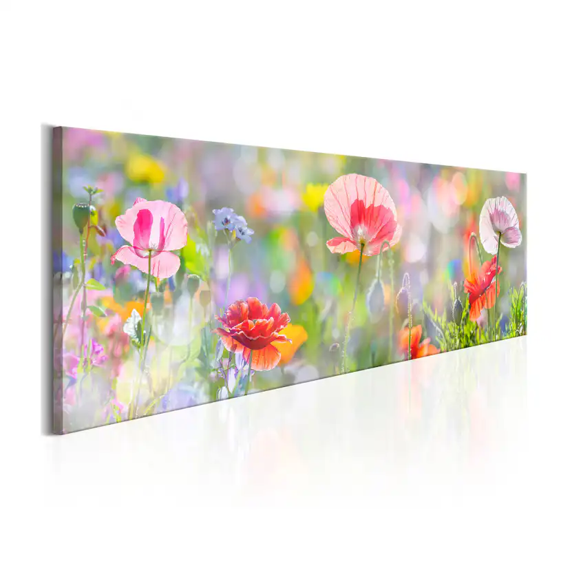 Tavla Arkiio Rainbow Of Morning Poppies