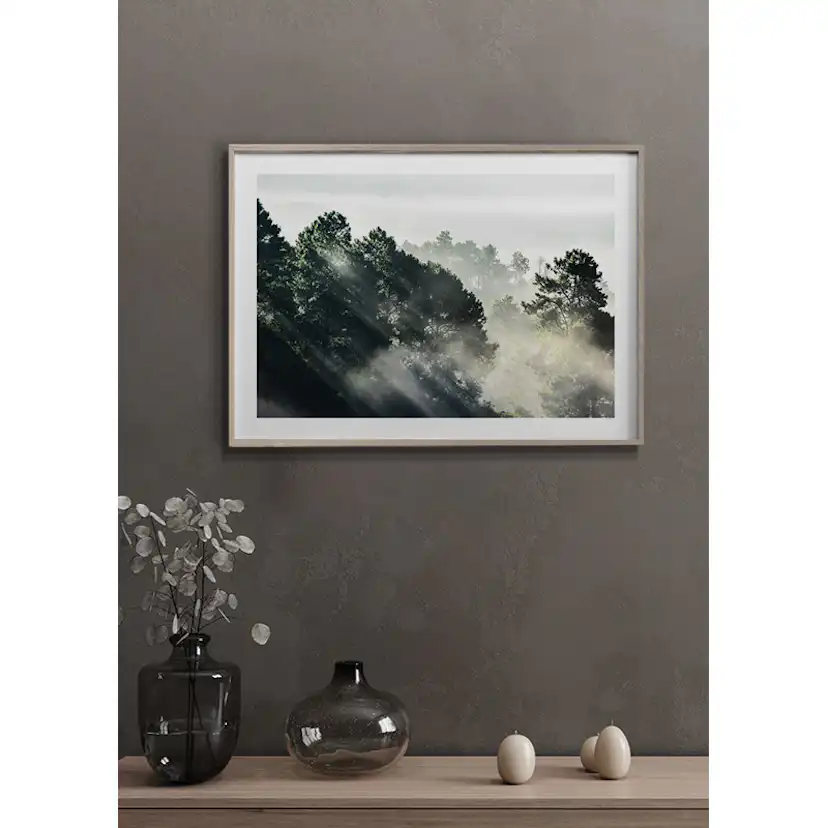 Poster Gallerix Sunlight Forest