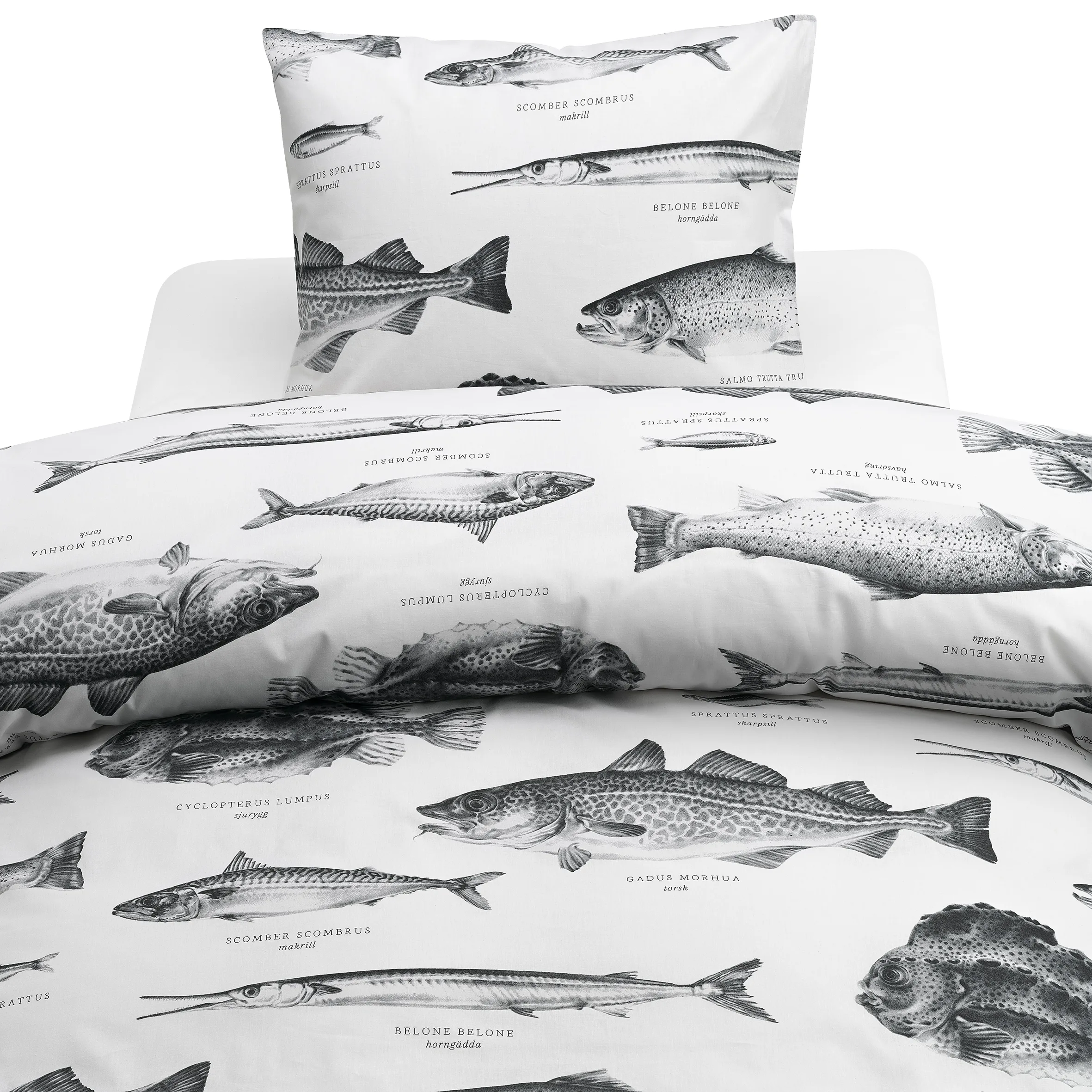 Påslakanset Borganäs of Sweden Havsfiskar