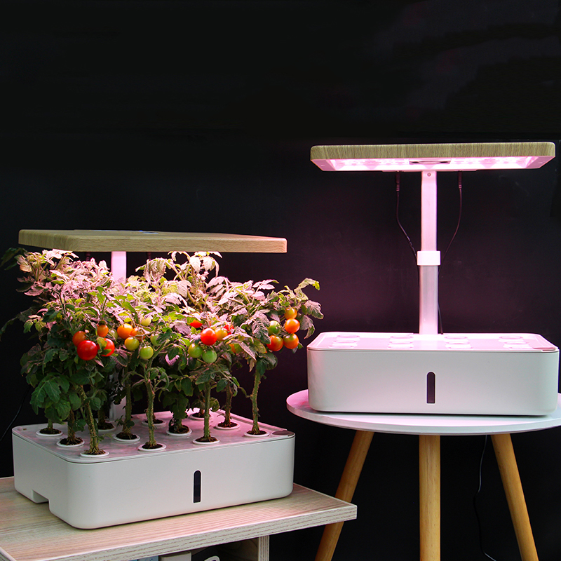 Hydroponisk Odlingslåda RobotGarden Hydroponisk Odling med Startkit & Växtlampa, Vit