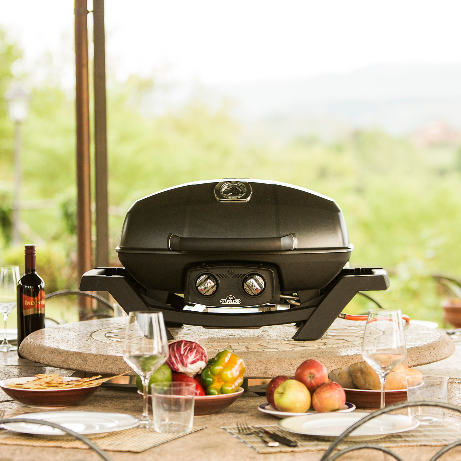 Gasolgrill Napoleon PRO285 Bärbar med Dubbla Brännare & JETFIRE-Tändning