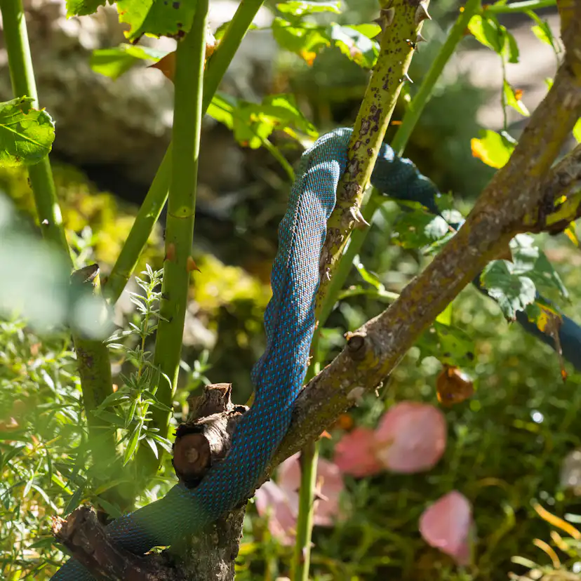 Textilslang Liano™ Xtreme 15 m Set med strålmunstycke och förvaringsväska