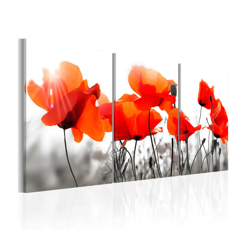 Tavla Arkiio Charming Poppies