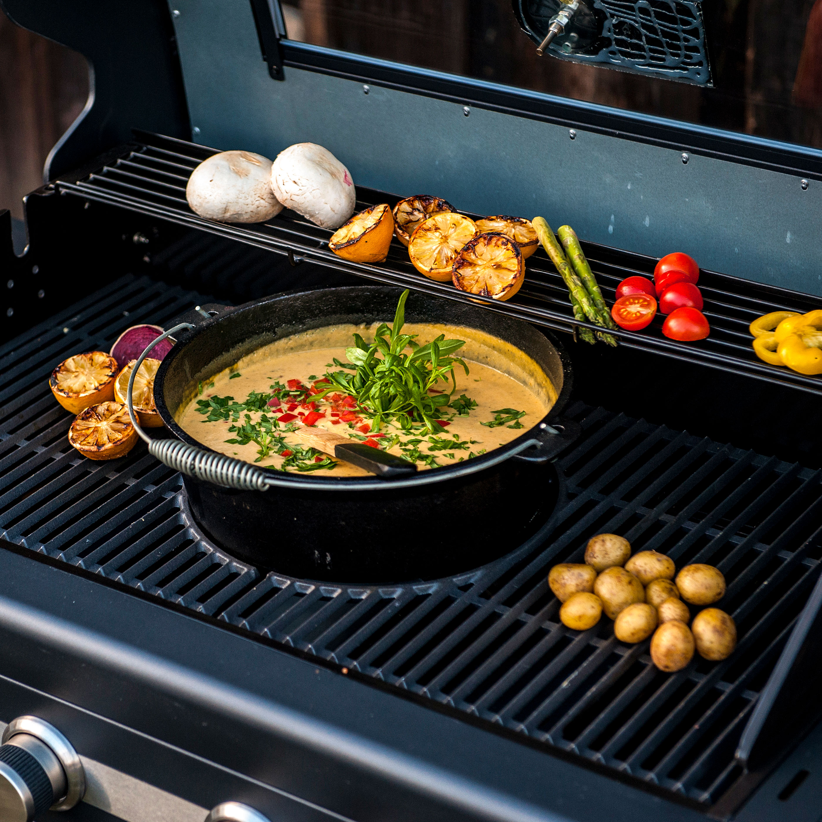 Gasolgrill Sunwind Disa