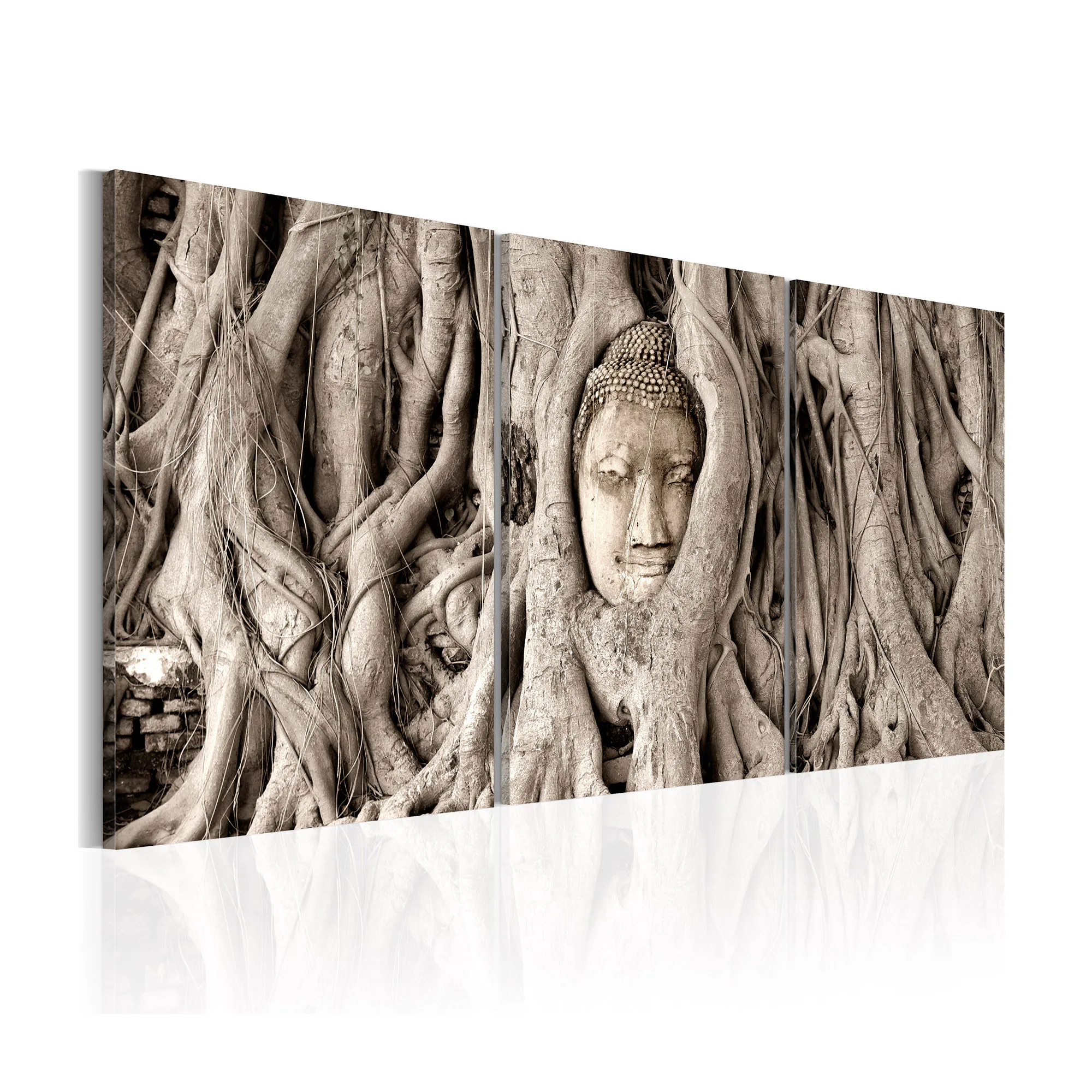 Tavla Arkiio Meditation's Tree