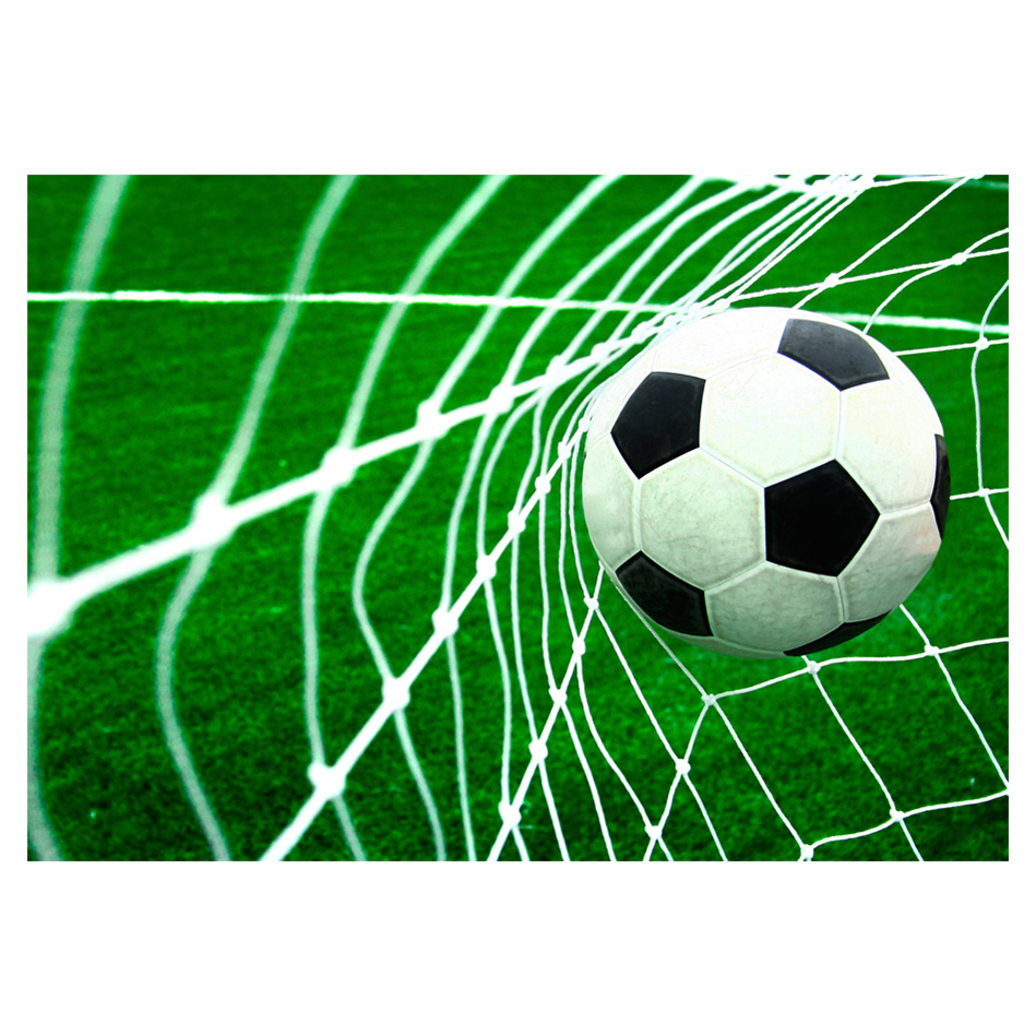 Fototapet Arkiio Goal!