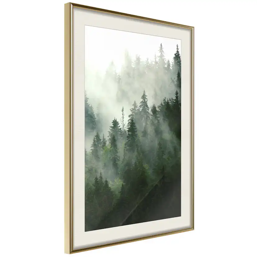 Poster Artgeist Affisch Coniferous Forest
