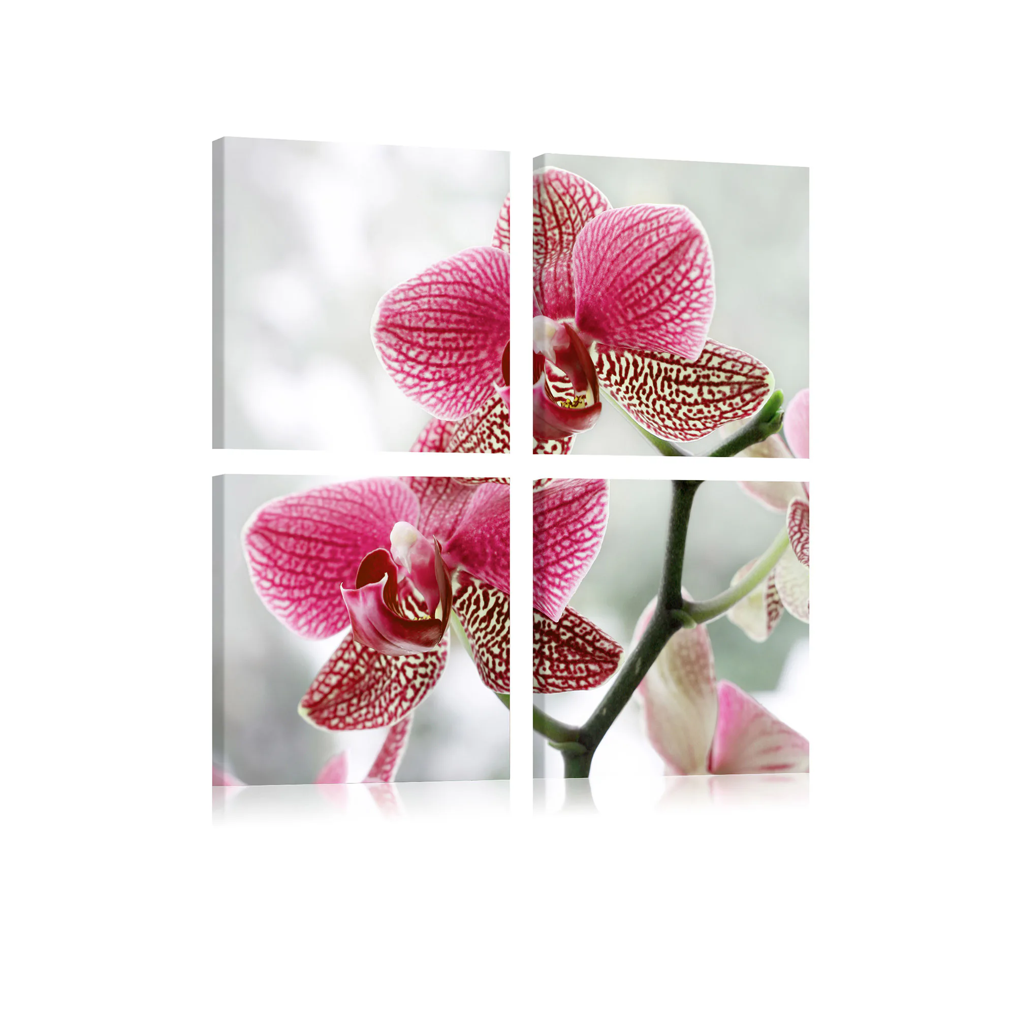 Tavla Arkiio Fancy Orkidé