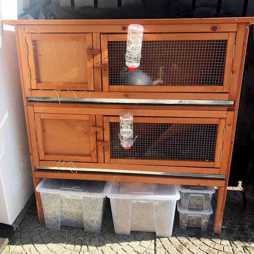 Kaninbur Lyfco P500