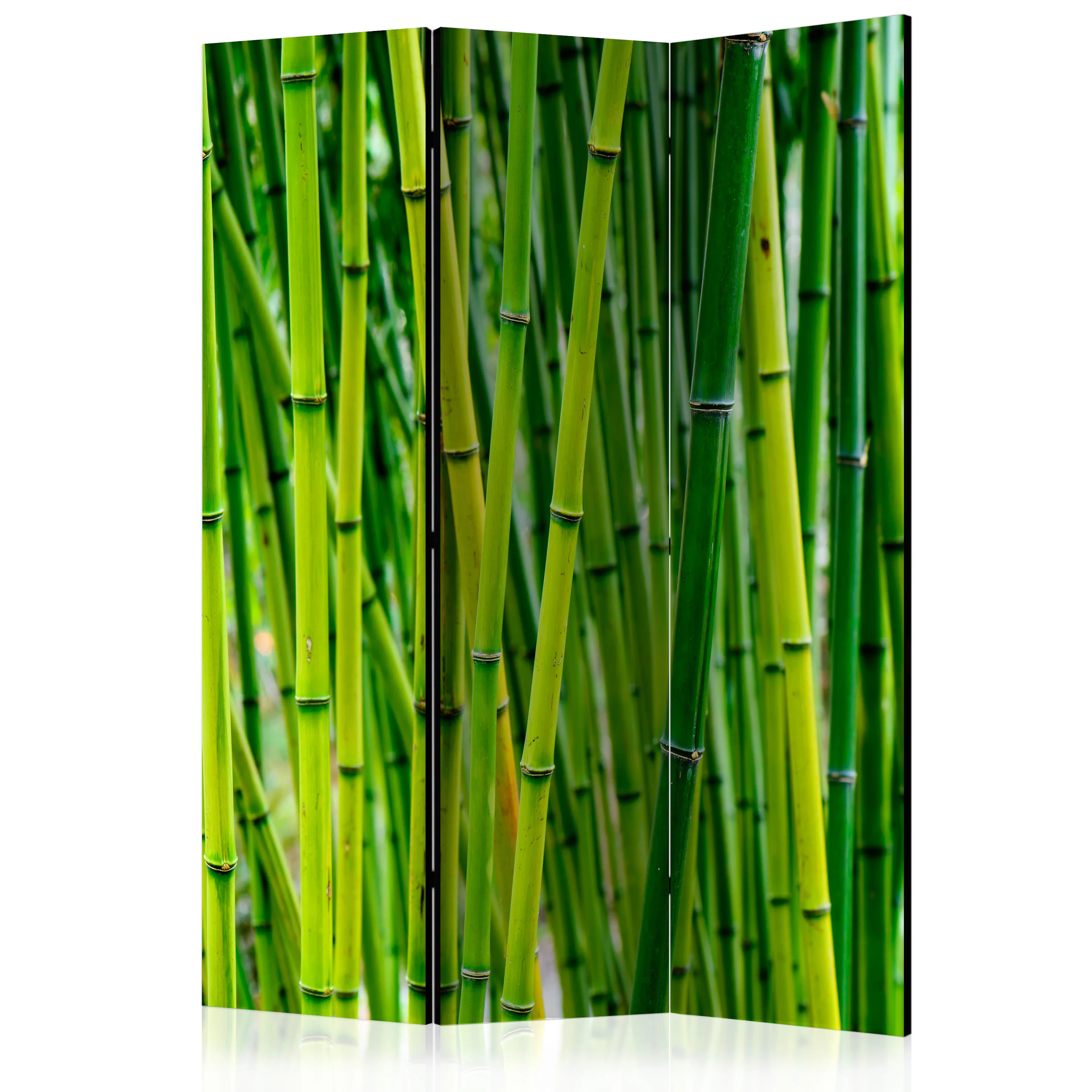 Rumsavdelare Arkiio Bamboo Forest 135x172 cm