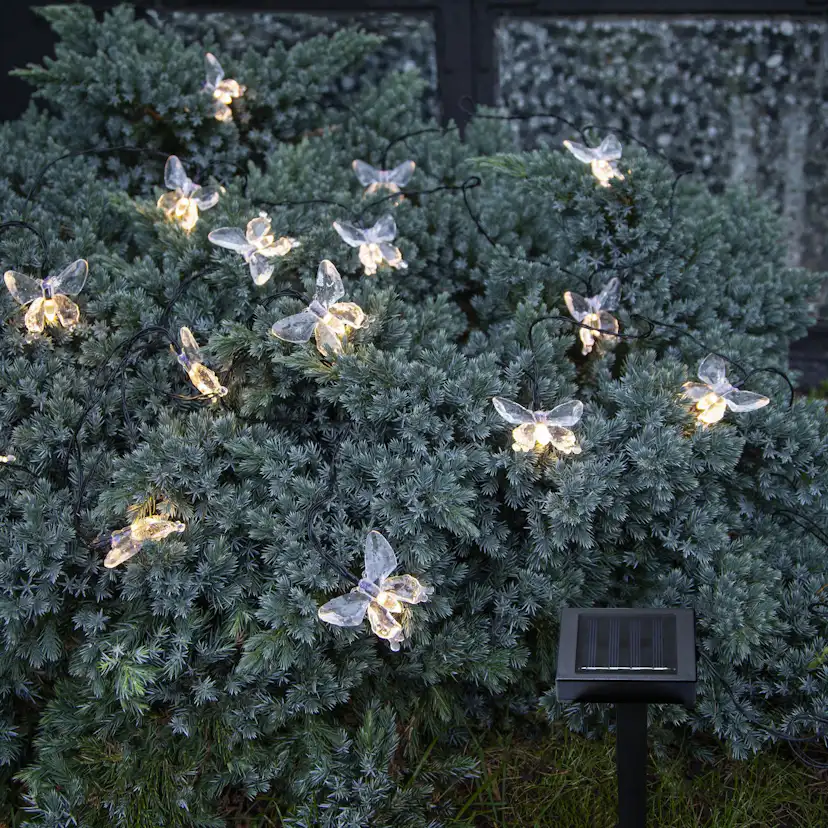 Solcells-Ljusslinga Star Trading Papillon