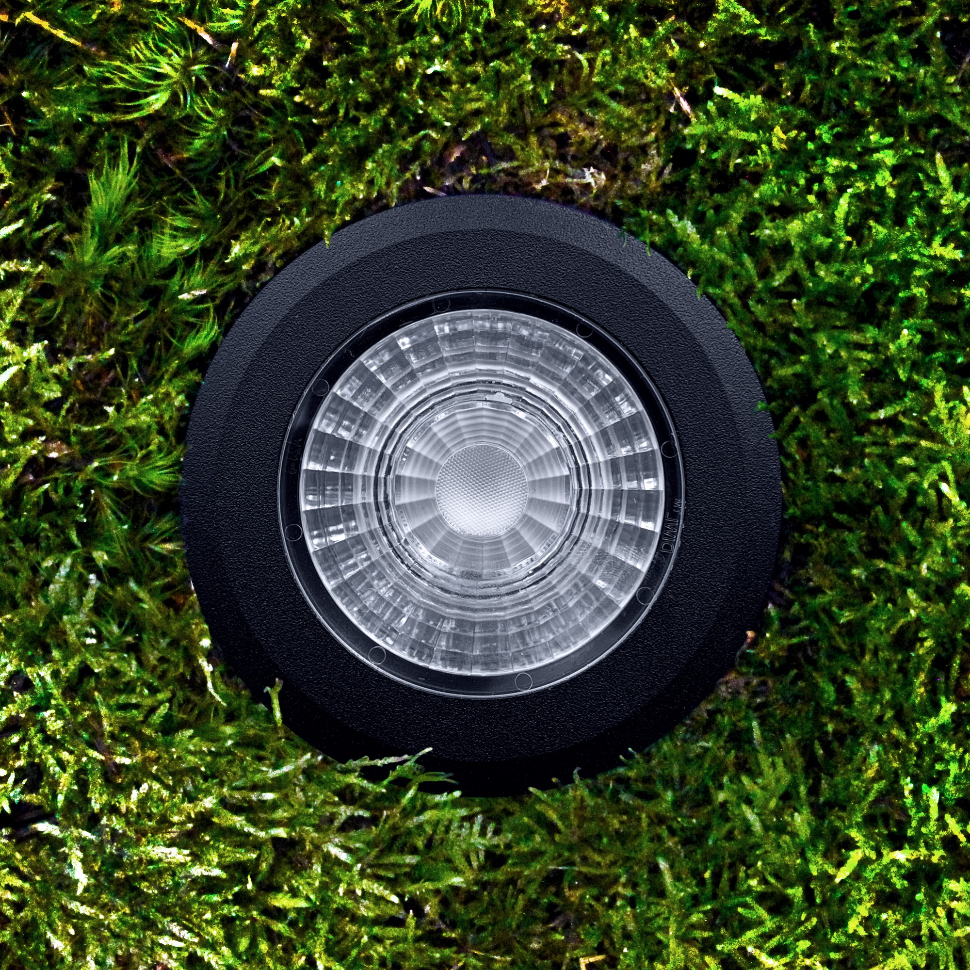 Markspot/Inground Lightson Castor