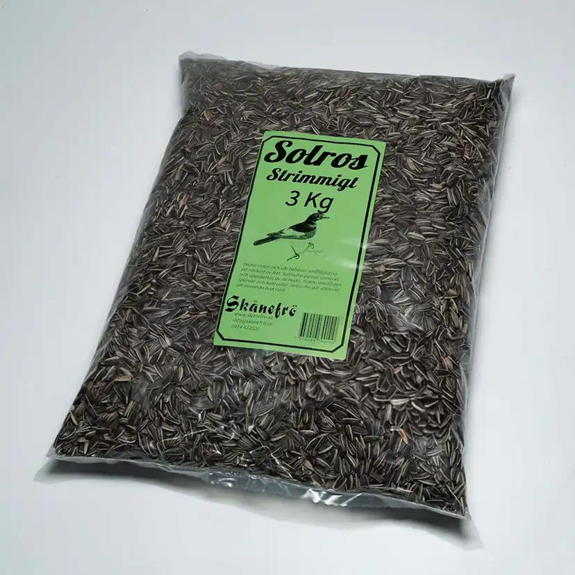 Solrosfrö Skånefrö Strimmigt 3kg