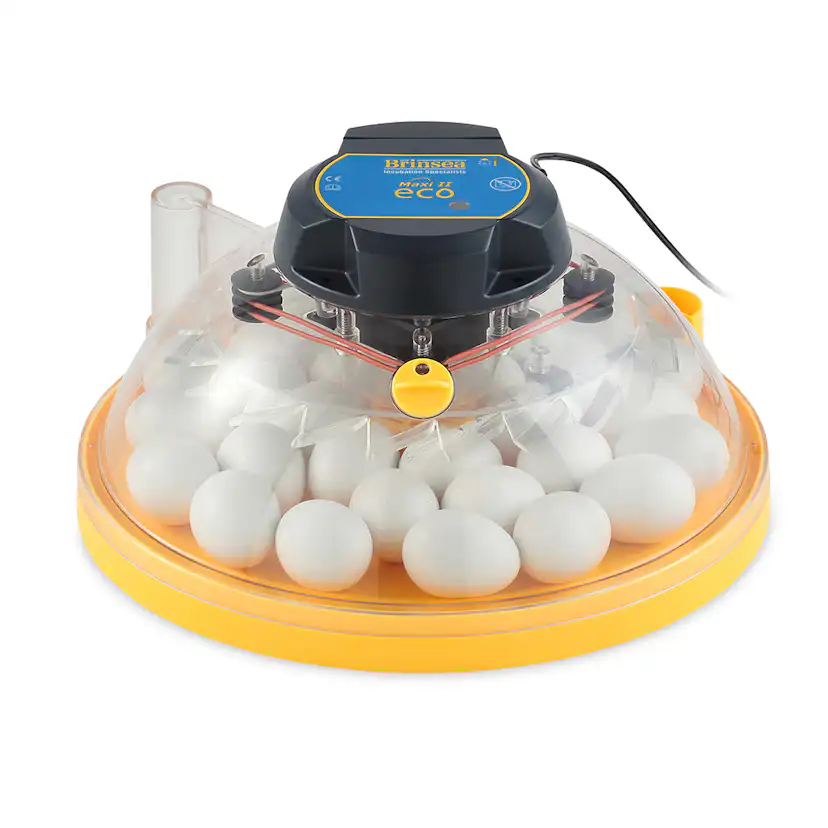 Äggkläckare Brinsea Maxi II Eco