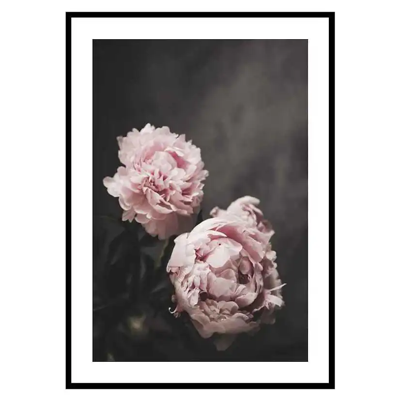 Poster Gallerix Pink peonies No2