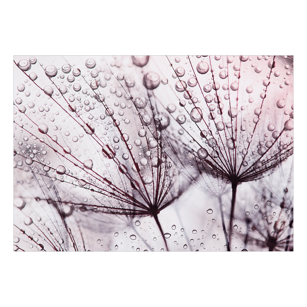 Fototapet Arkiio Rainy Time