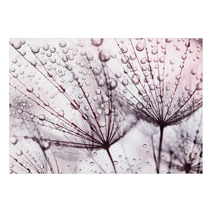 Fototapet Arkiio Rainy Time
