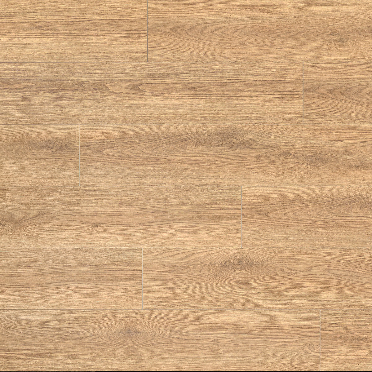 Laminatgolv Oak Sienna 8 mm, 1-stav