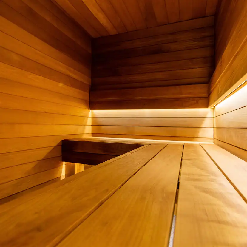 Bastulav Sauna Sweden SHP Asp 21x 65mm